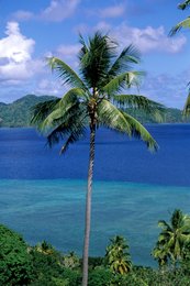 Blue;-Coconut-palm;-Comoros-Archipelago;-France;-Hills;-Indian-Ocean;-Kaleidos;-Kaleidos-images;-La-parole-à-limage;-Lagoon;-Landscape;-Laurent-Abad;-Mayotte;-Palm-tree;-Sea;-Stories-Pictures;-Turquoise